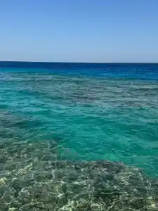 Titanic Palace - Families and Couples only - 30