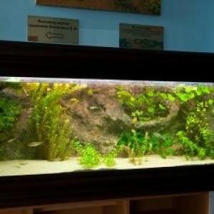 Навигатор - 88