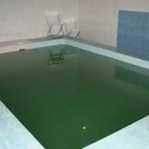 Шатура Холл - 89