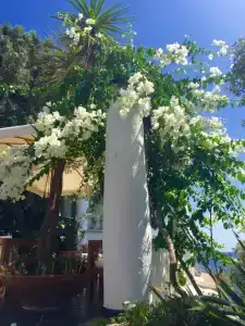 Punta Rossa - 25