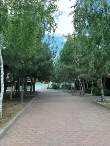 4 Сезона - 37