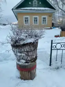 Два Мороза - 45