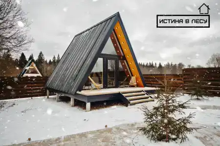 Истина в лесу - 15