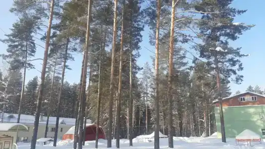 Селычка - 76