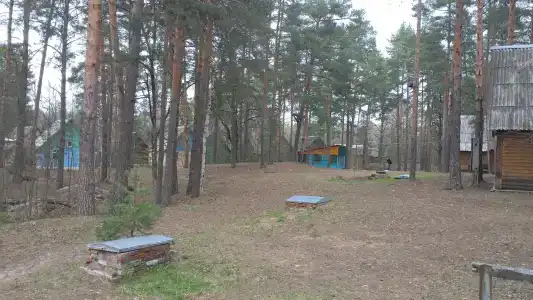 Улыбышево - 72