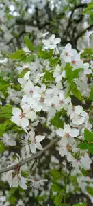 Вилла Татьяна Верхнеозерная - 17