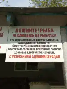 Даль - 6