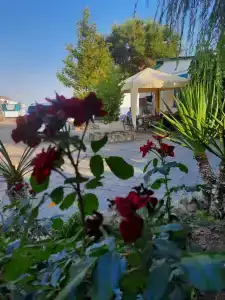 Пансионат Сказка - 17