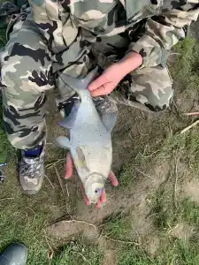 Южная - 22