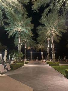 Palace Beach Resort - 13