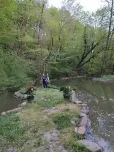 8 Континент - 43