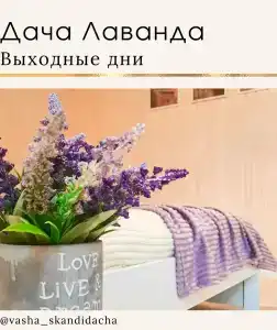 Лаванда - 1