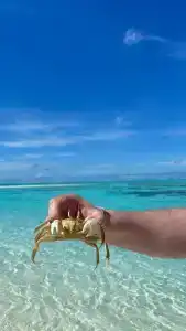 Riu Palace Maldives - 32