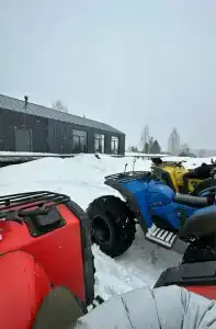 Лунный свет - 29