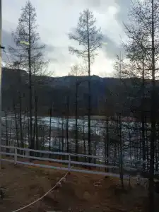 Орлик - 17