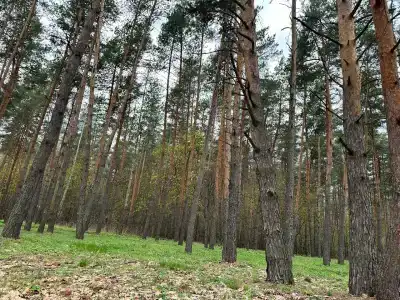 Слюдяночка - 5