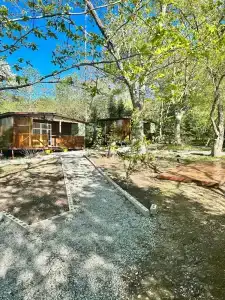 Бархатная - 46