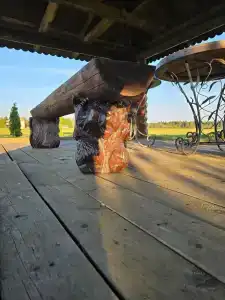 Елизарово - 63