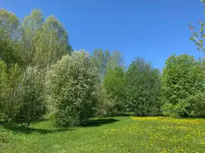 Ошеть - 21