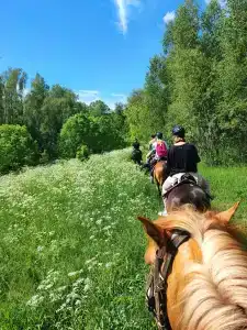 Велегож - 7