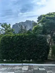 Новый Свет - 89