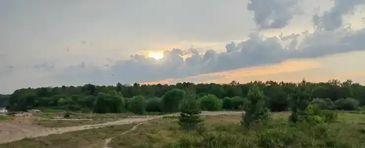 Русский лес - 82