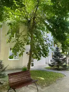 Фея 2 - 48
