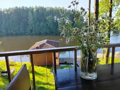 Зелёная роща - 18