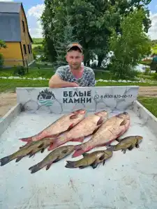 Белые камни - 34