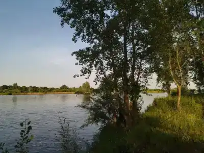 Берега - 39