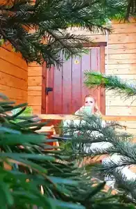 Теле - 8