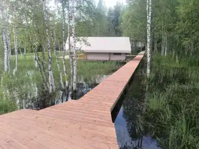 Длинный берег - 59