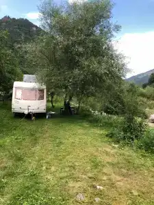 Платан - 41