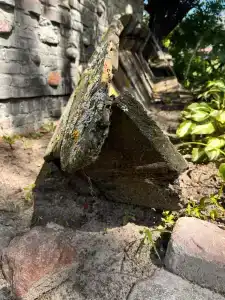 Панский сад - 90