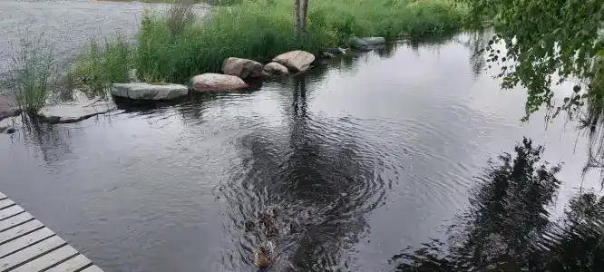 Загородный - 76