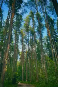 Берег 78 - 3