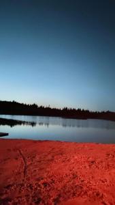 Заповедник - 53