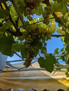 Морское Небо - 35