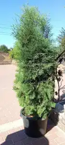 Гостиный дом на Речной - 3