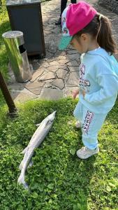 Гранд Усадьба - 81