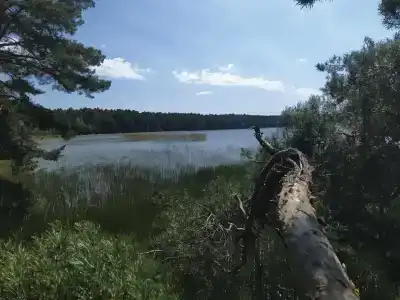 Белое озеро - 86