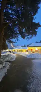 Буревестник - 3