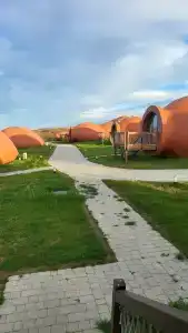 Qvevrebi - 36