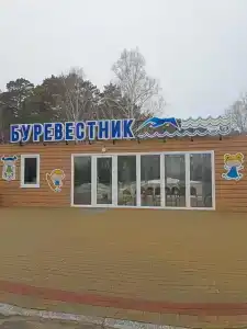 Буревестник - 0