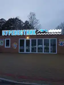 Буревестник - 23