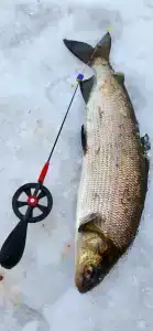 Северный- Остров рф - 74