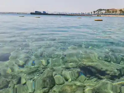 Beach Albatros - - 24