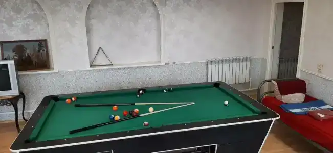 Дельфин - 3