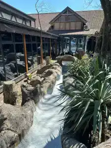 Золотая вилка - 3