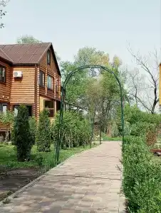Березка - 37